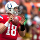Peyton Manning presumably prepares to bonk some guy in the head as he plays in the 2011 Pro Bowl. (Photo: Getty Images)